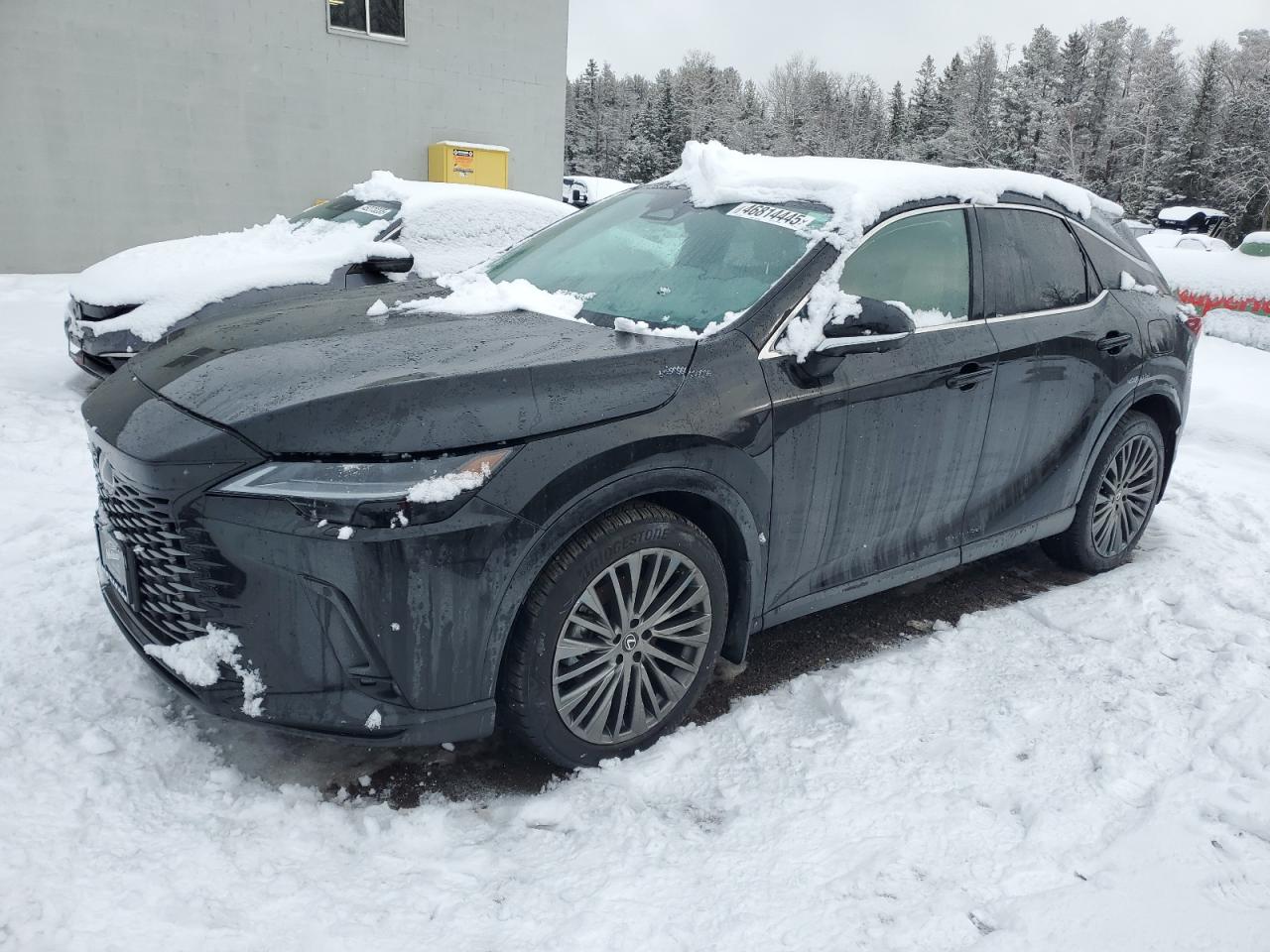 2024 LEXUS RX 350 BASE 350 BASE