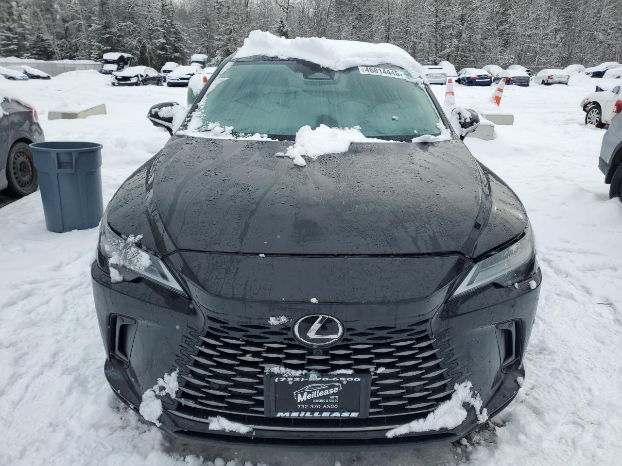 LEXUS RX 350 BASE 2024 — 6