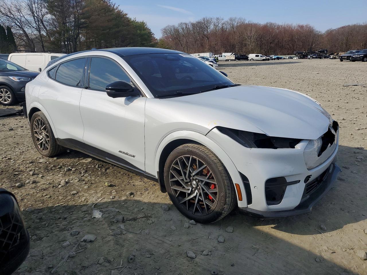 FORD MUSTANG MACH-E 2021 — 5