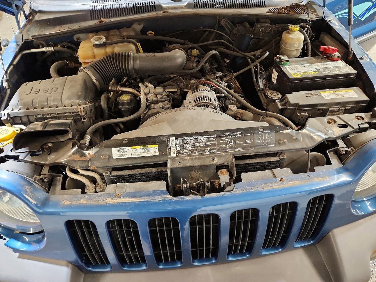 JEEP LIBERTY 2004 — 13