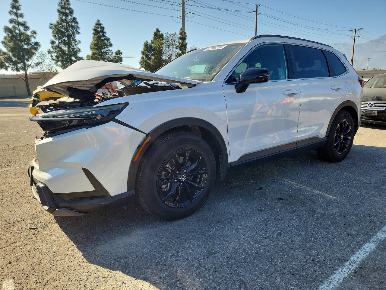 2025 HONDA CRV