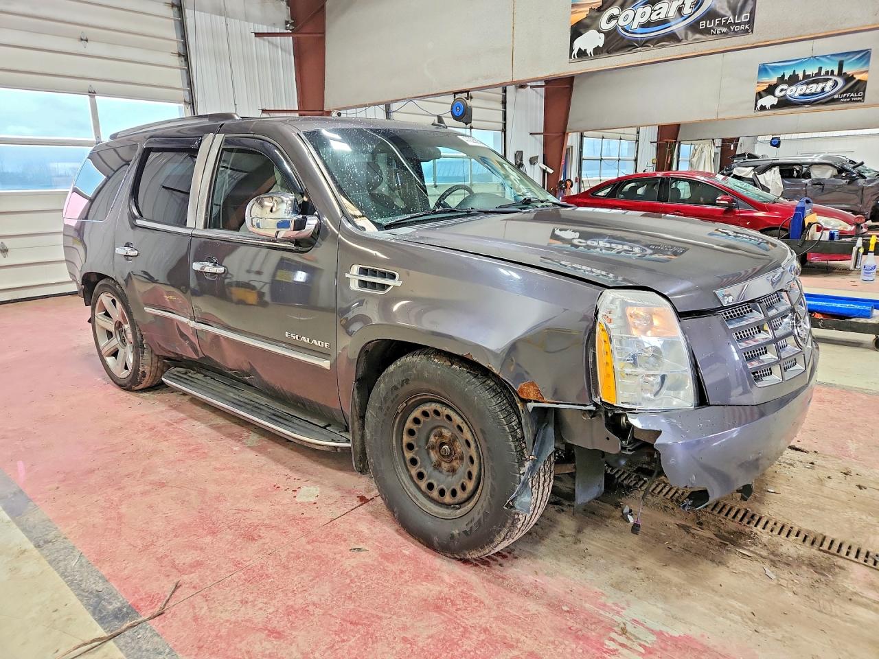 CADILLAC ESCALADE 2010 — 5