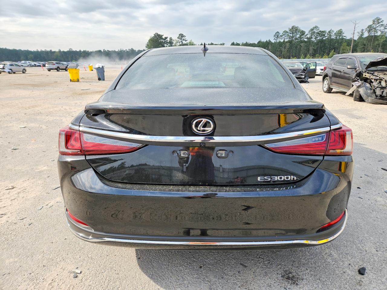 LEXUS ES 300H 2025 — 7