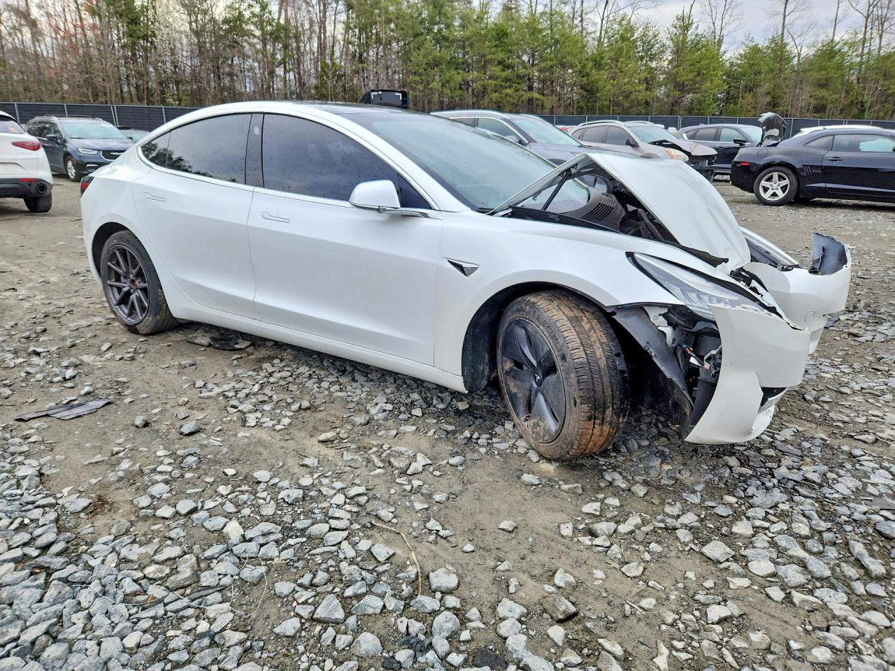2019 TESLA 3
