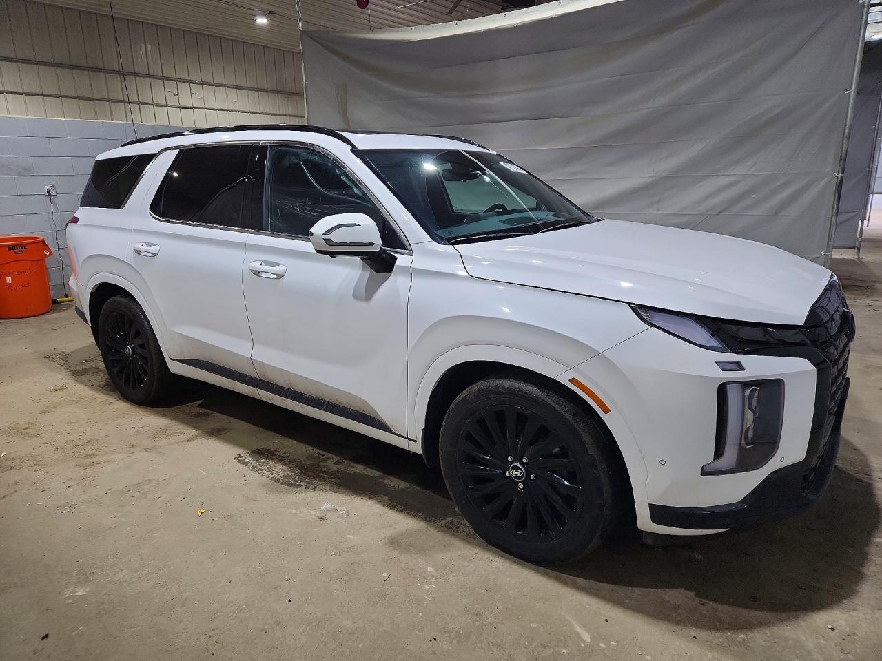HYUNDAI PALISADE 2025 — 5