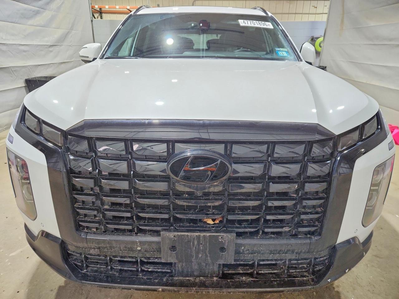 HYUNDAI PALISADE 2025 — 6