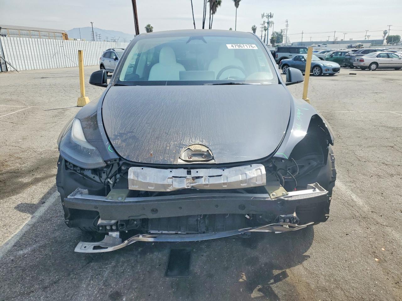 TESLA MODEL Y 2024 — 6