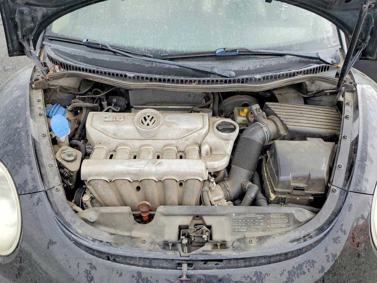 VOLKSWAGEN NEW BEETLE 2010 — 12