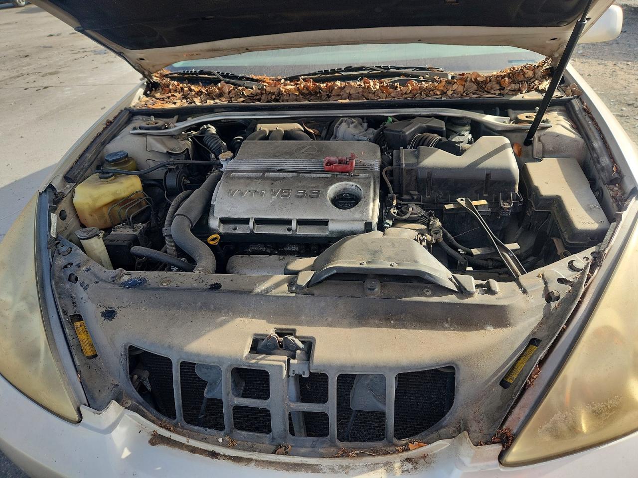 LEXS ES 330 2006 — 12