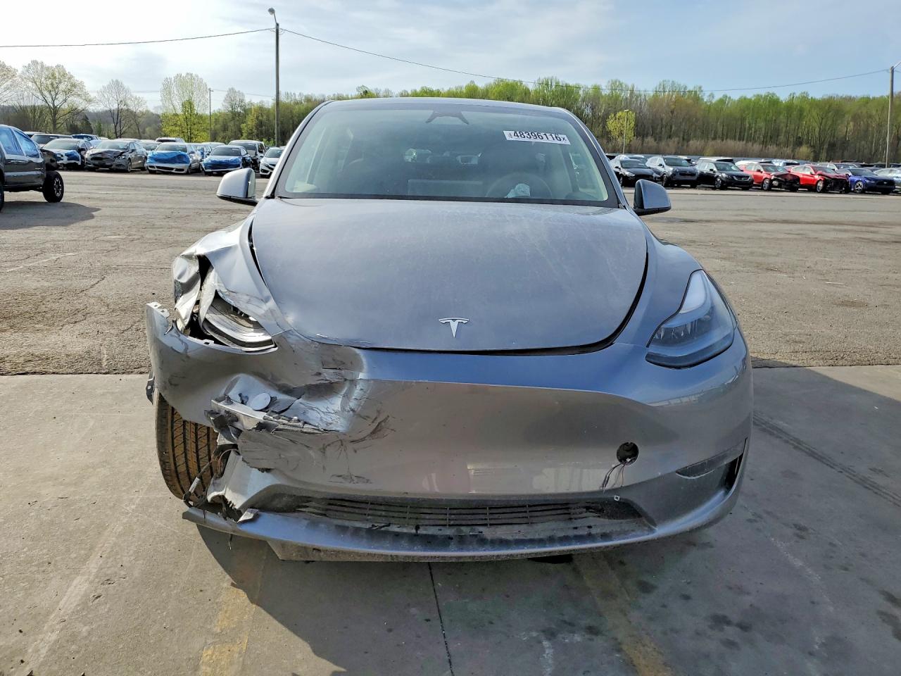 TESLA MODEL Y 2024 — 6