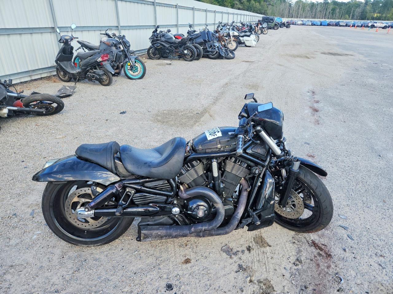 HARLEY-DAVIDSON VRSCDX 2008 — 2