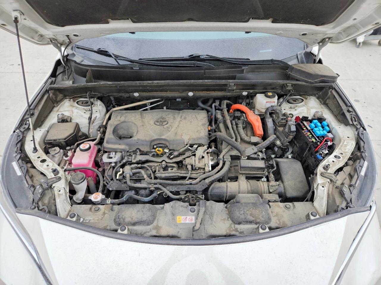 TOYOTA VENZA 2021 — 13