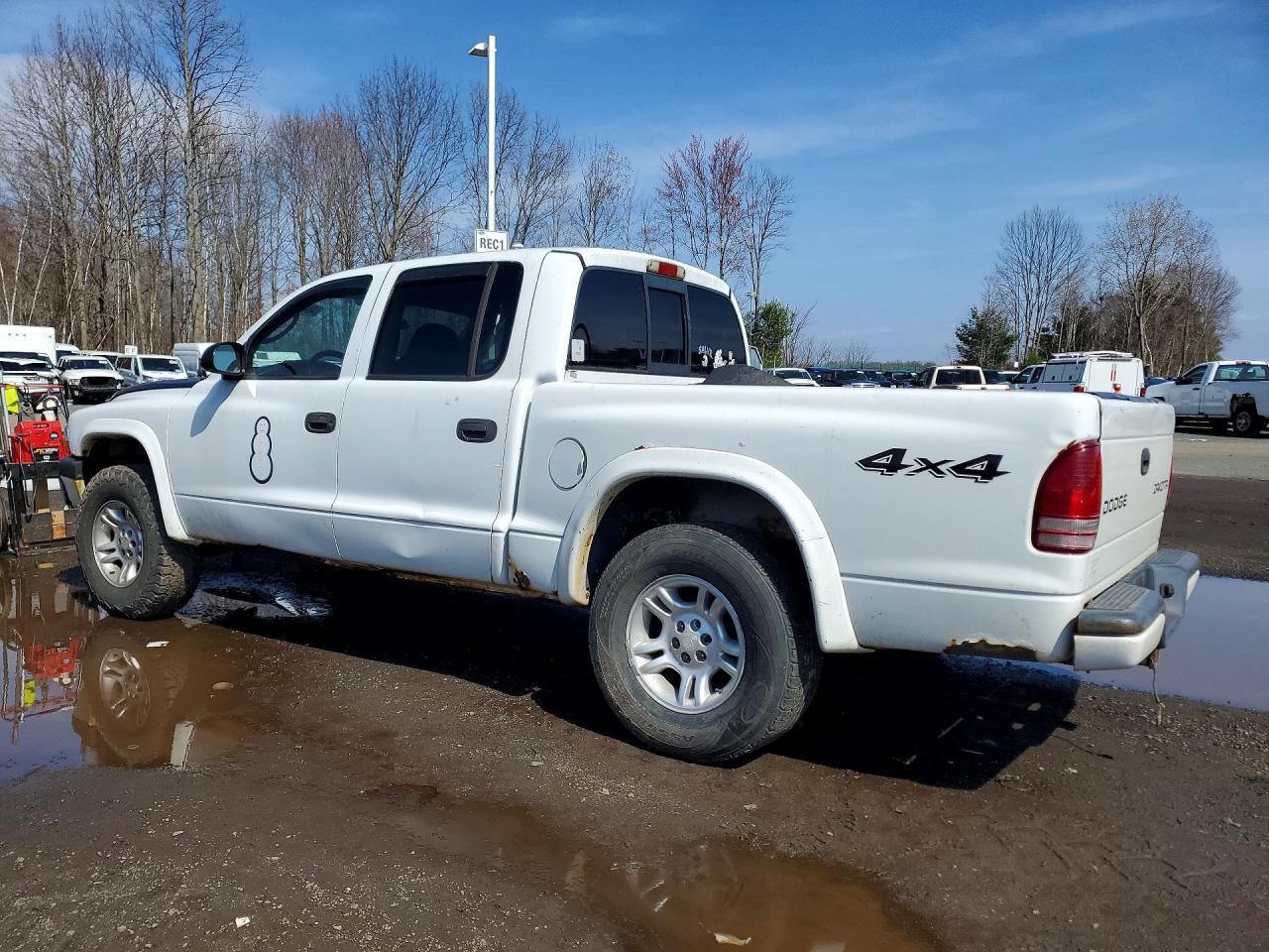 DODGE DAKOTA 2004 — 3
