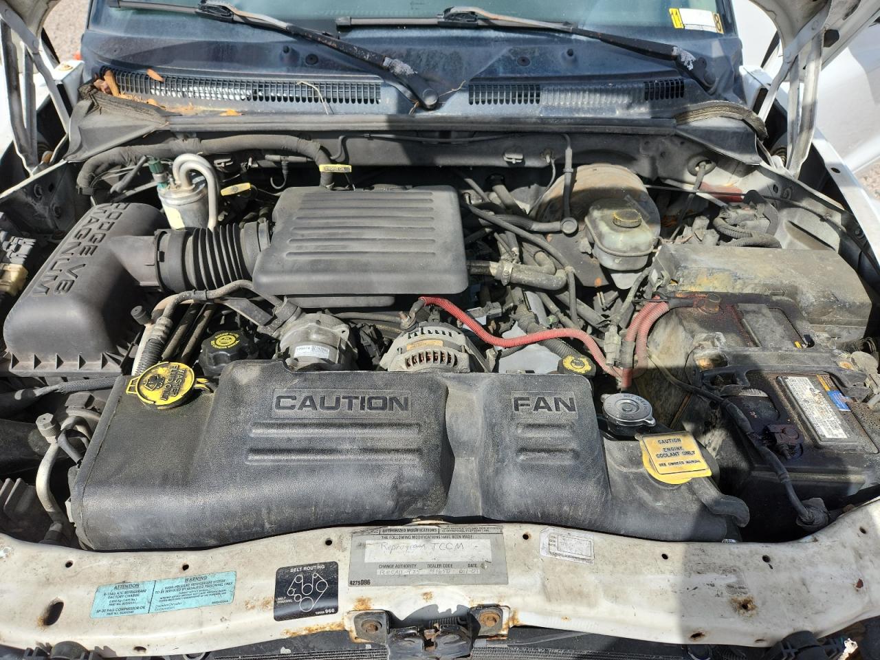 DODGE DAKOTA 2001 — 12