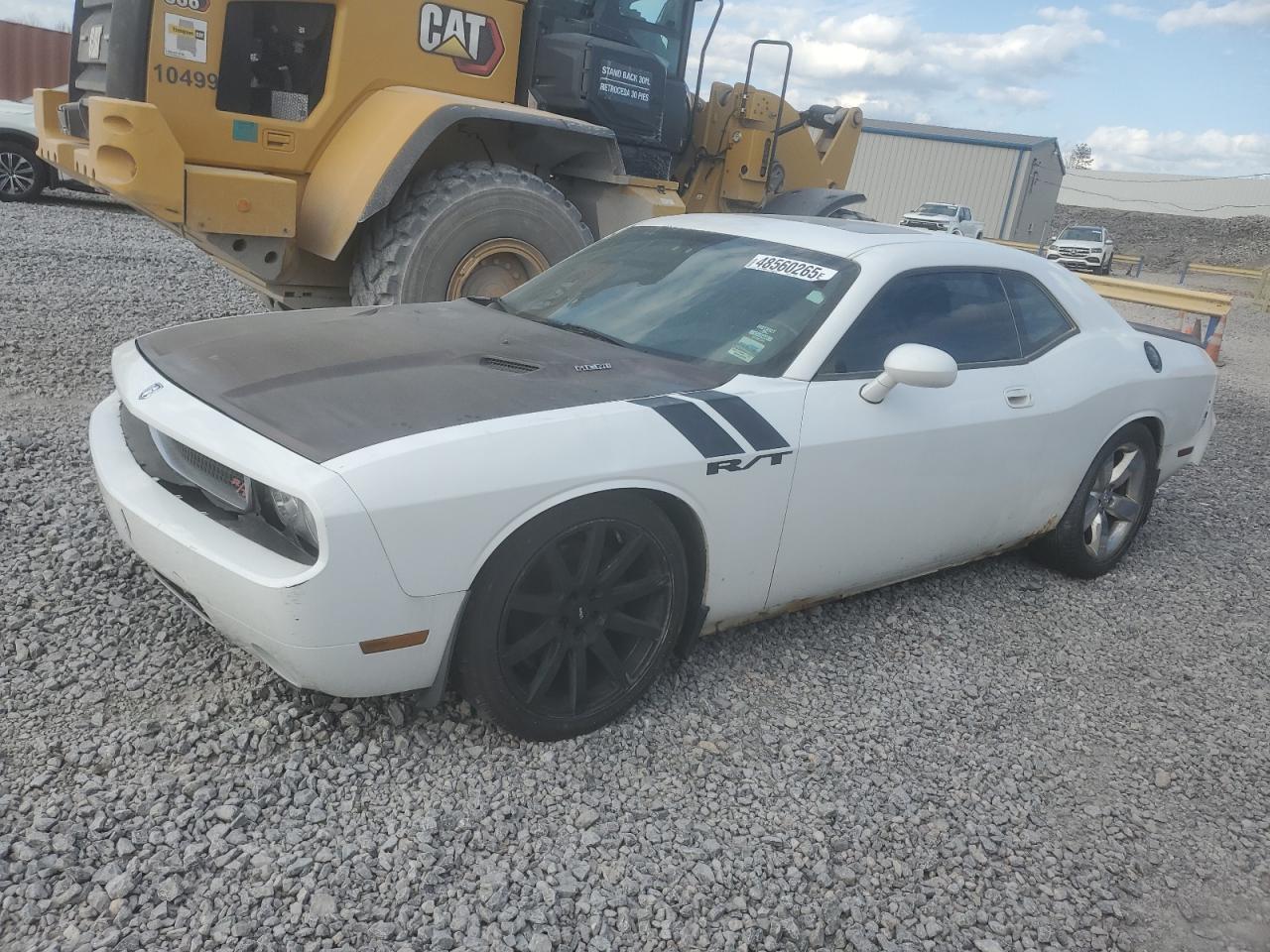 DODGE CHALLENGER 2010 — 2
