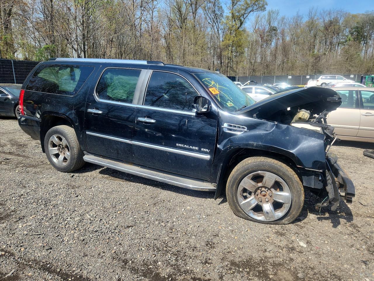 CADILLAC ESCALADE 2011 — 5
