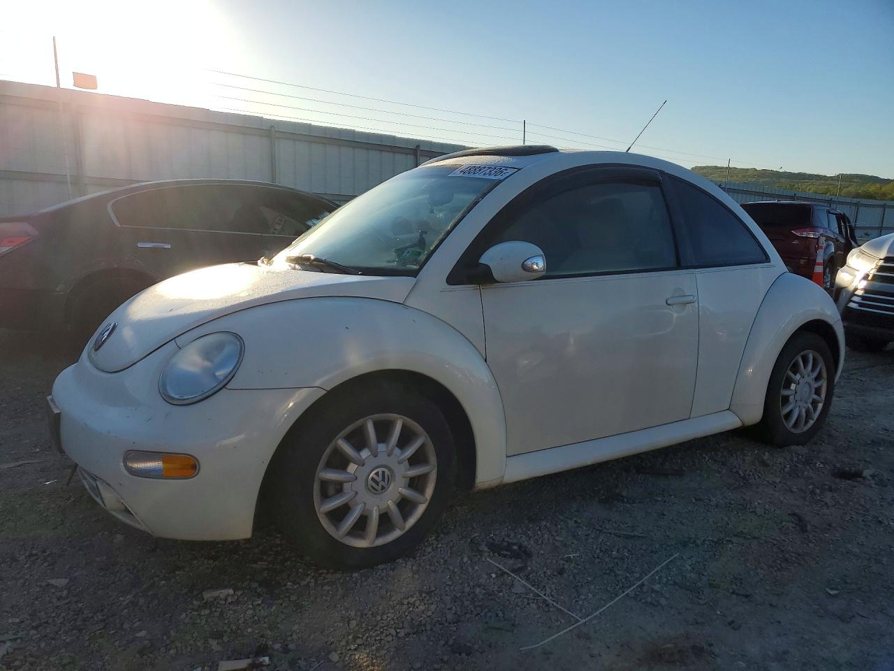 VOLK NEW BEETLE 2004 — 2