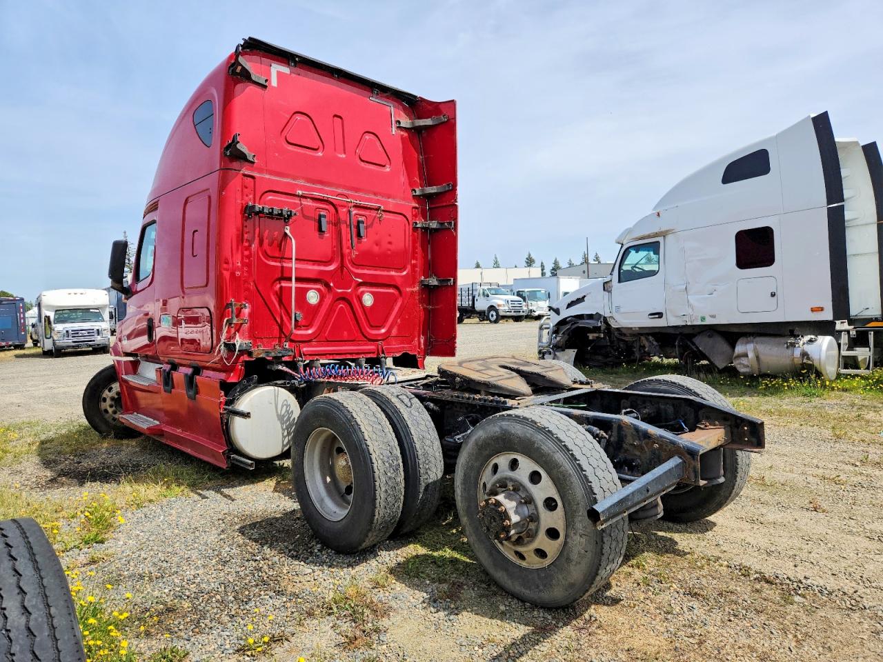 FREIGHTLINER CASCADIA 126 2019 — 4