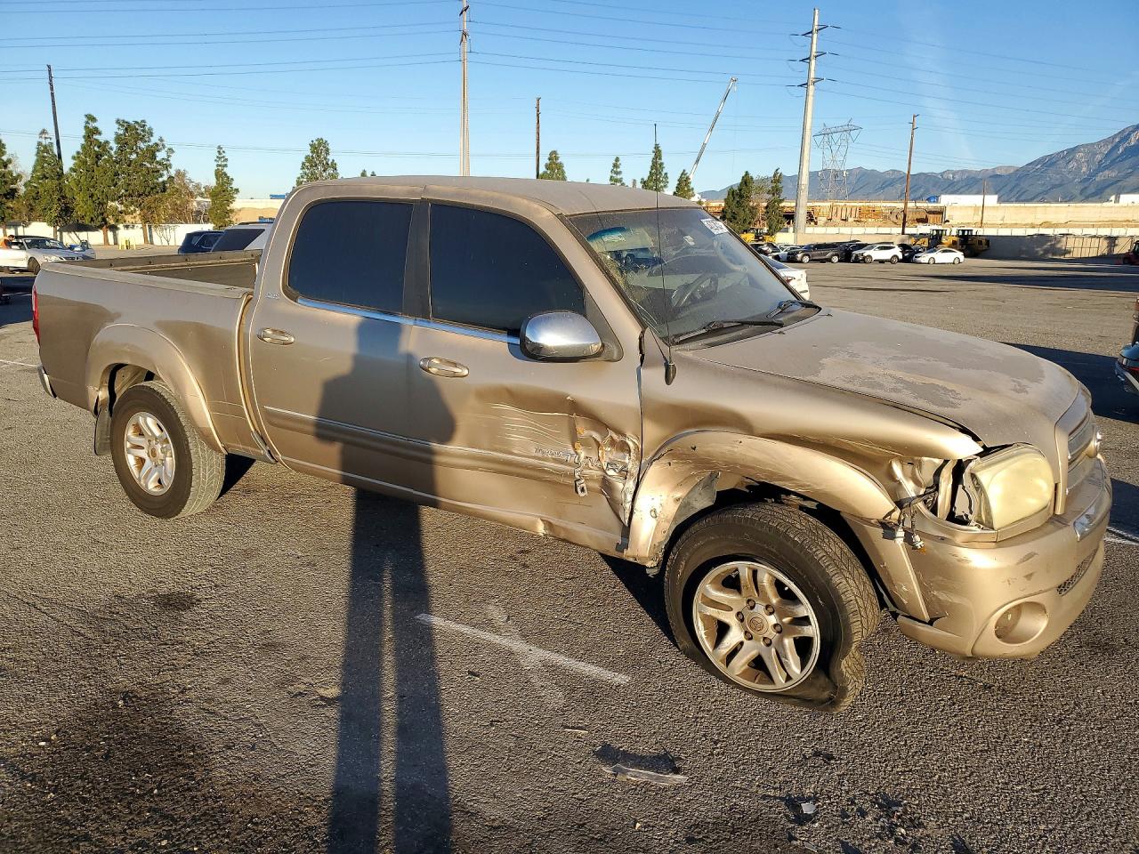 TOYOTA TUNDRA 2006 — 5