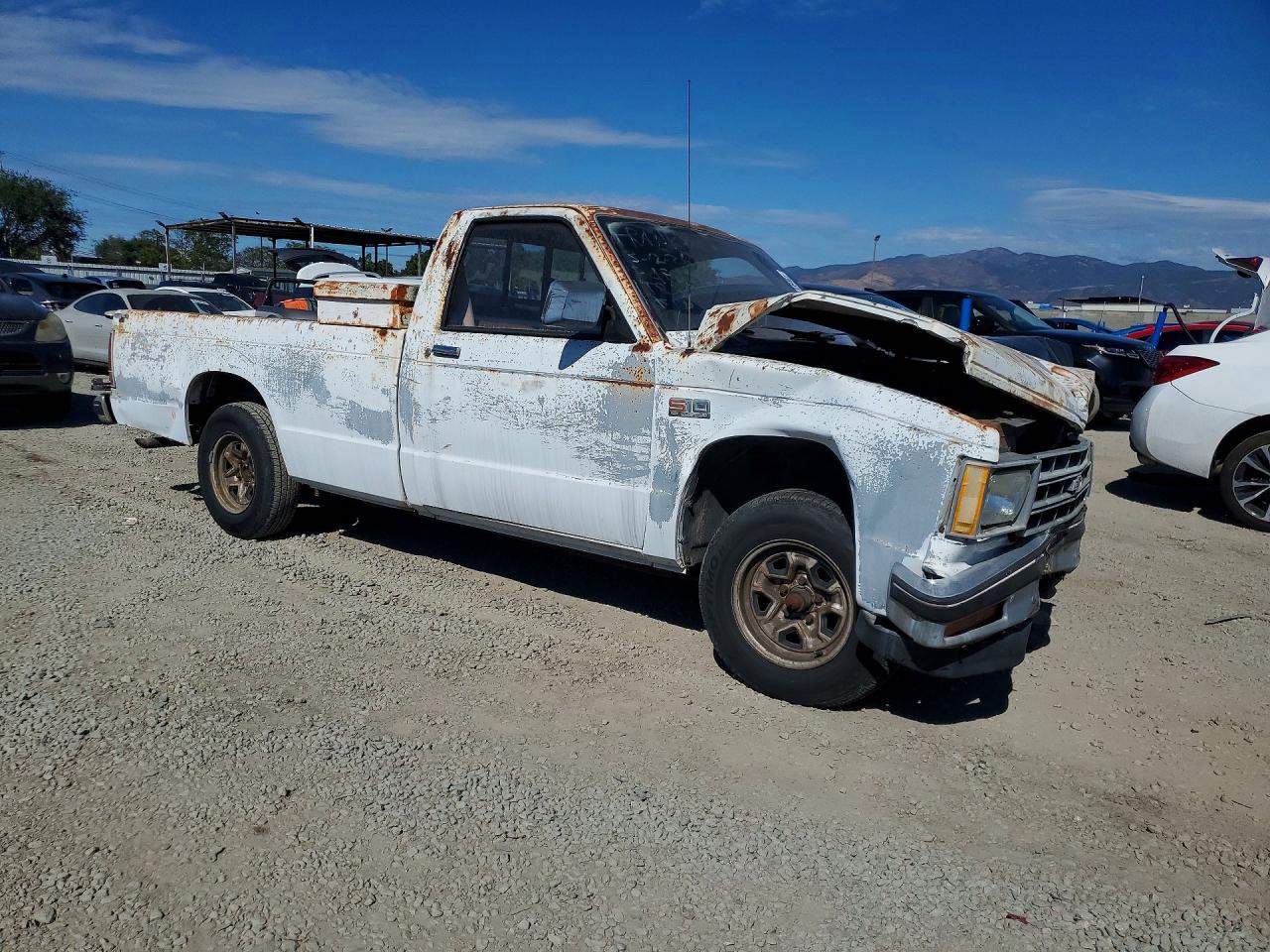 CHEVROLET S TRUCK 1989 — 5