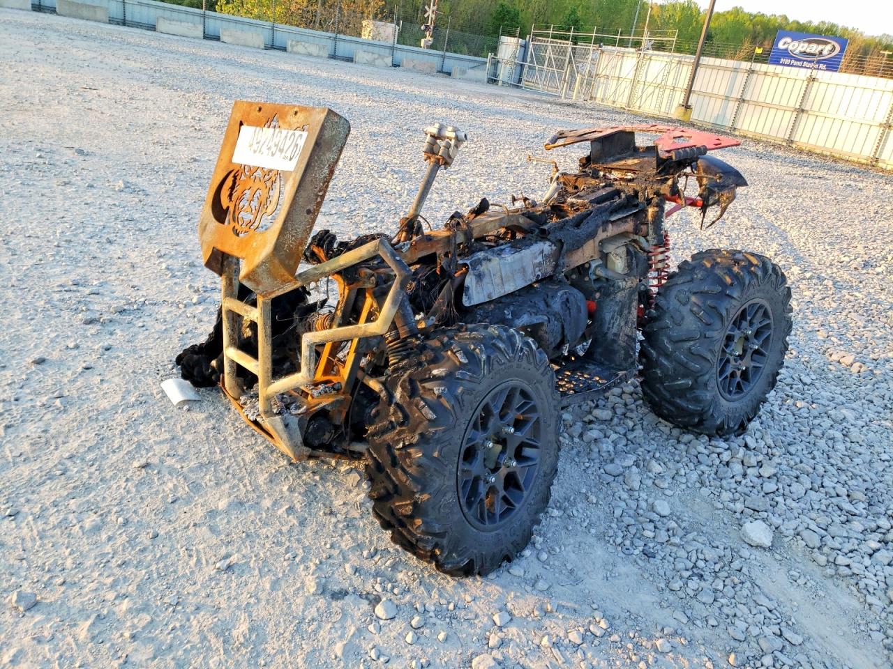 CAN-AM RENEGADE 2018 — 3