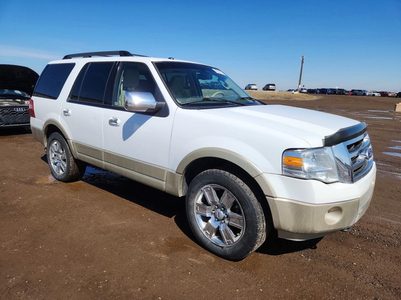 FORD EXPEDITION 2010 — 5
