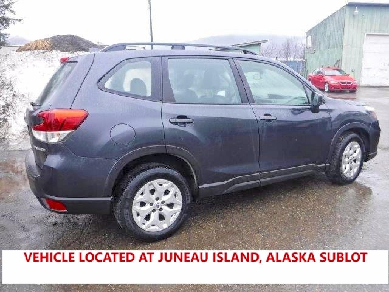 SUBARU FORESTER 2019 — 4