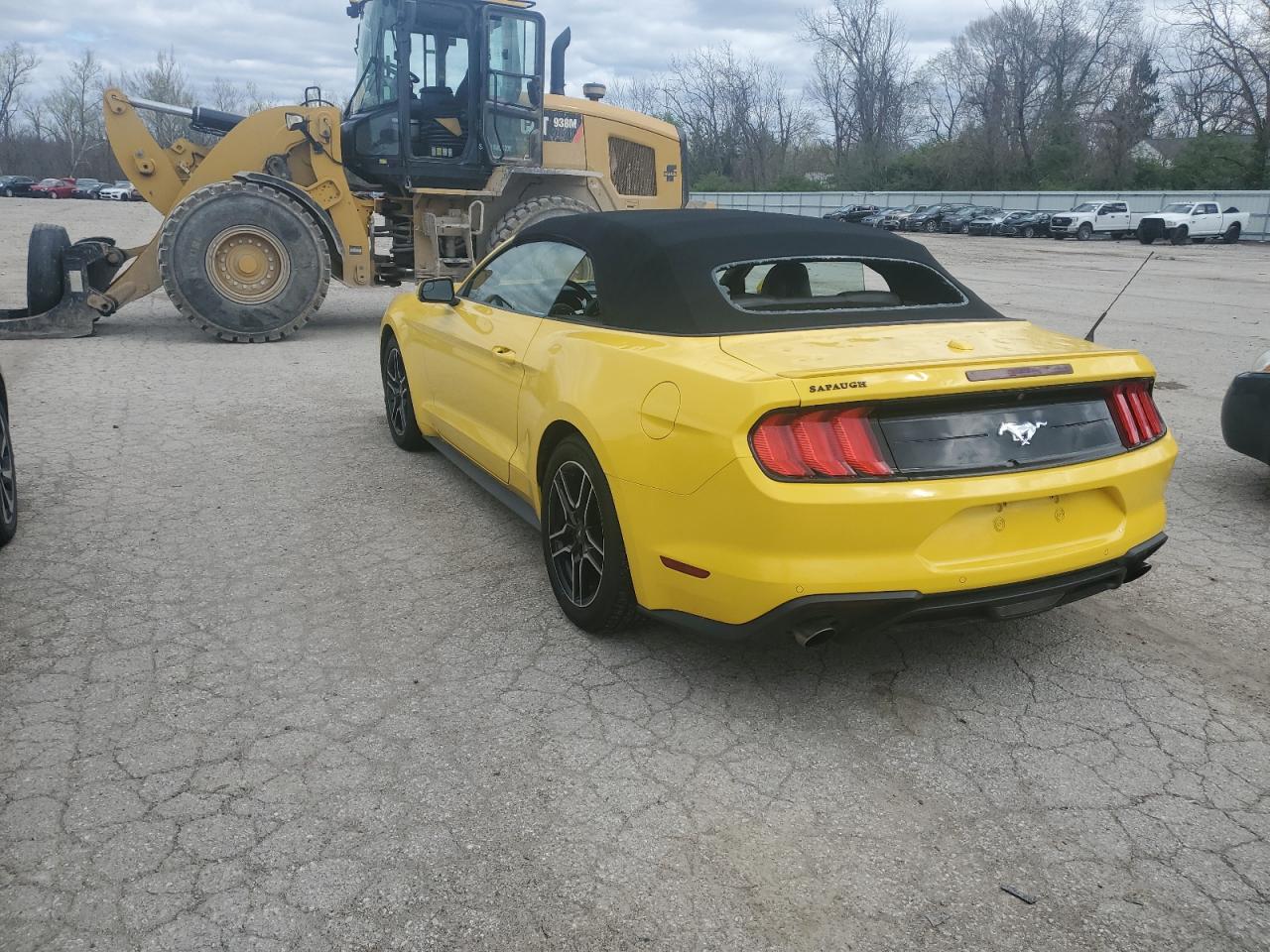 FORD MUSTANG 2018 — 3