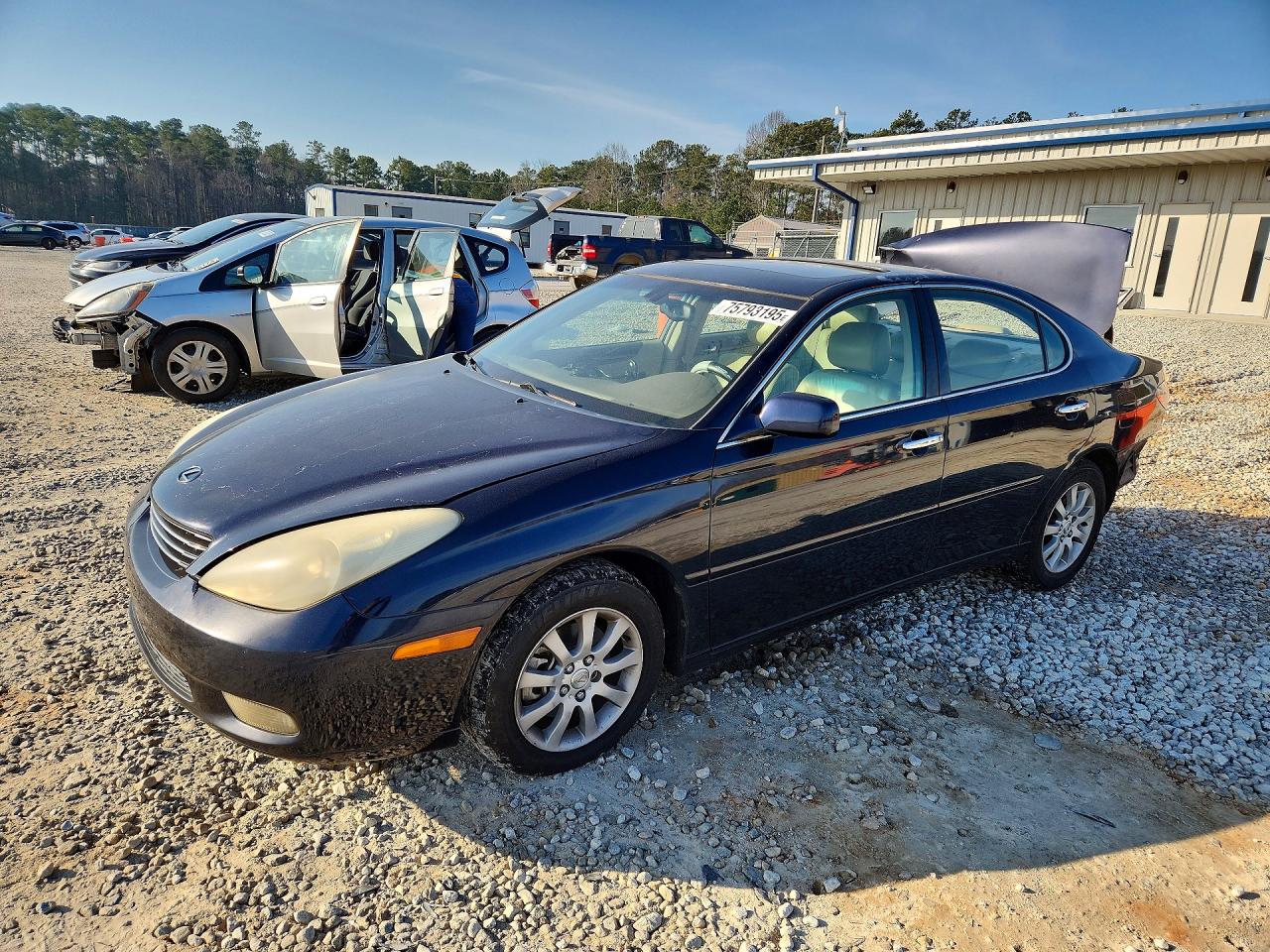 LEXUS ES 2004 — 2