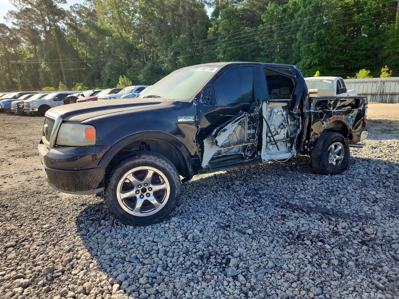 FORD F150 2006 — 2