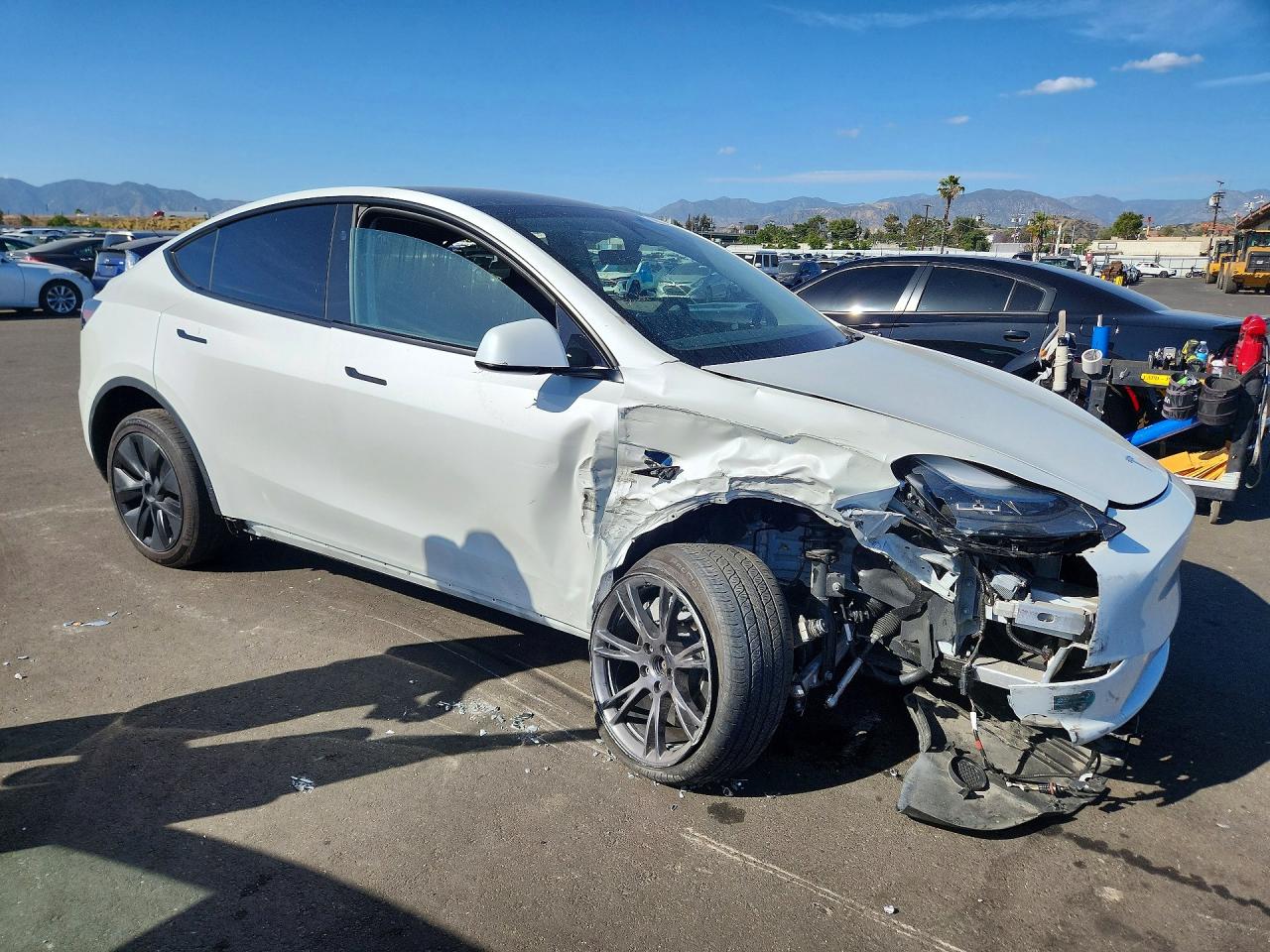TESLA MODEL Y 2025 — 5