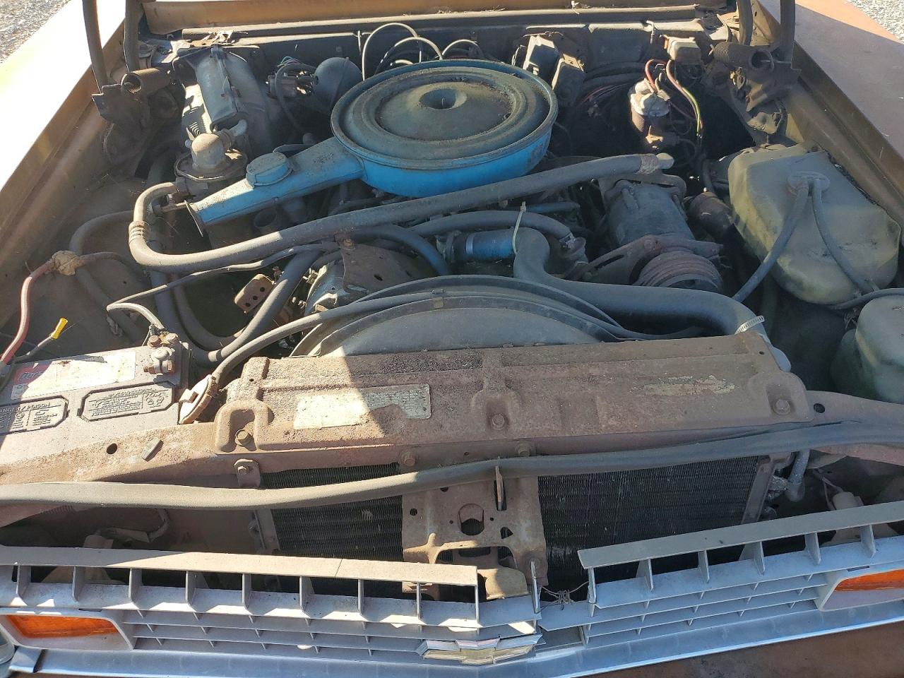 Chev Nova 1974 — 12