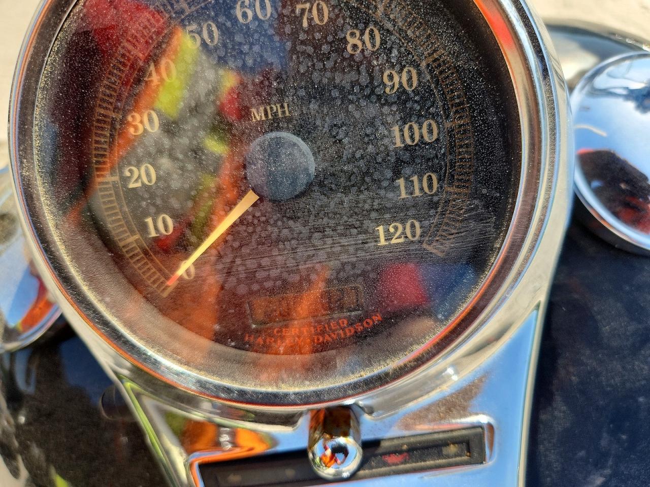 HARLEY-DAVIDSON FLSTSI 2005 — 8