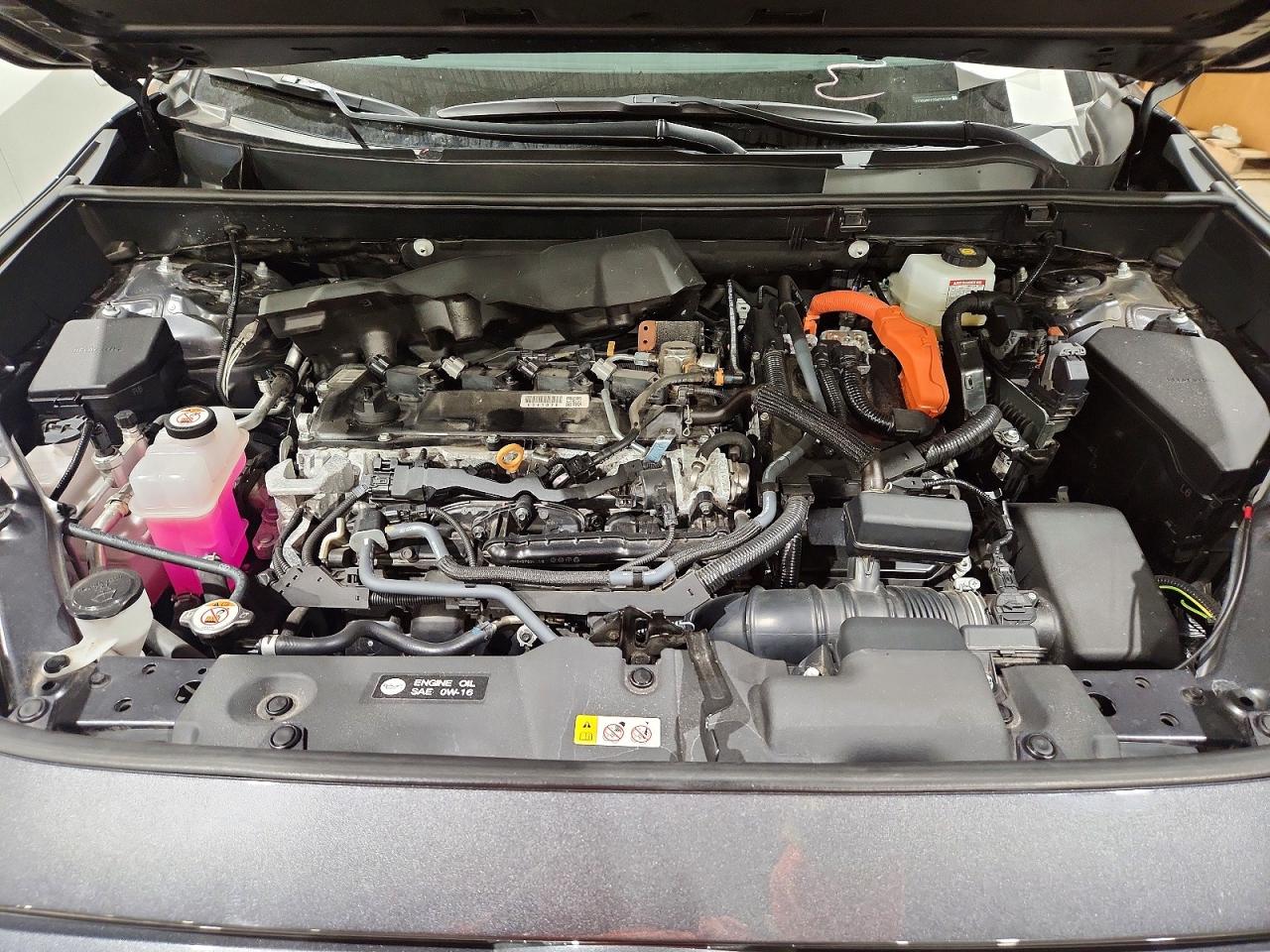 TOYOTA RAV 4 2025 — 12