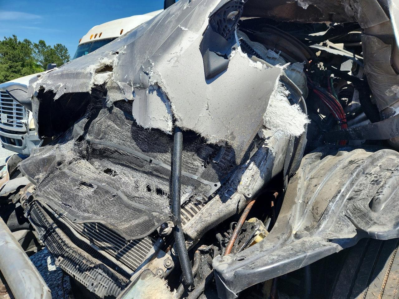 FREIGHTLINER CASCADIA 126 2019 — 8