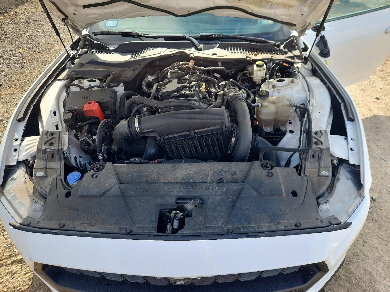 FORD MUSTANG 2024 — 12