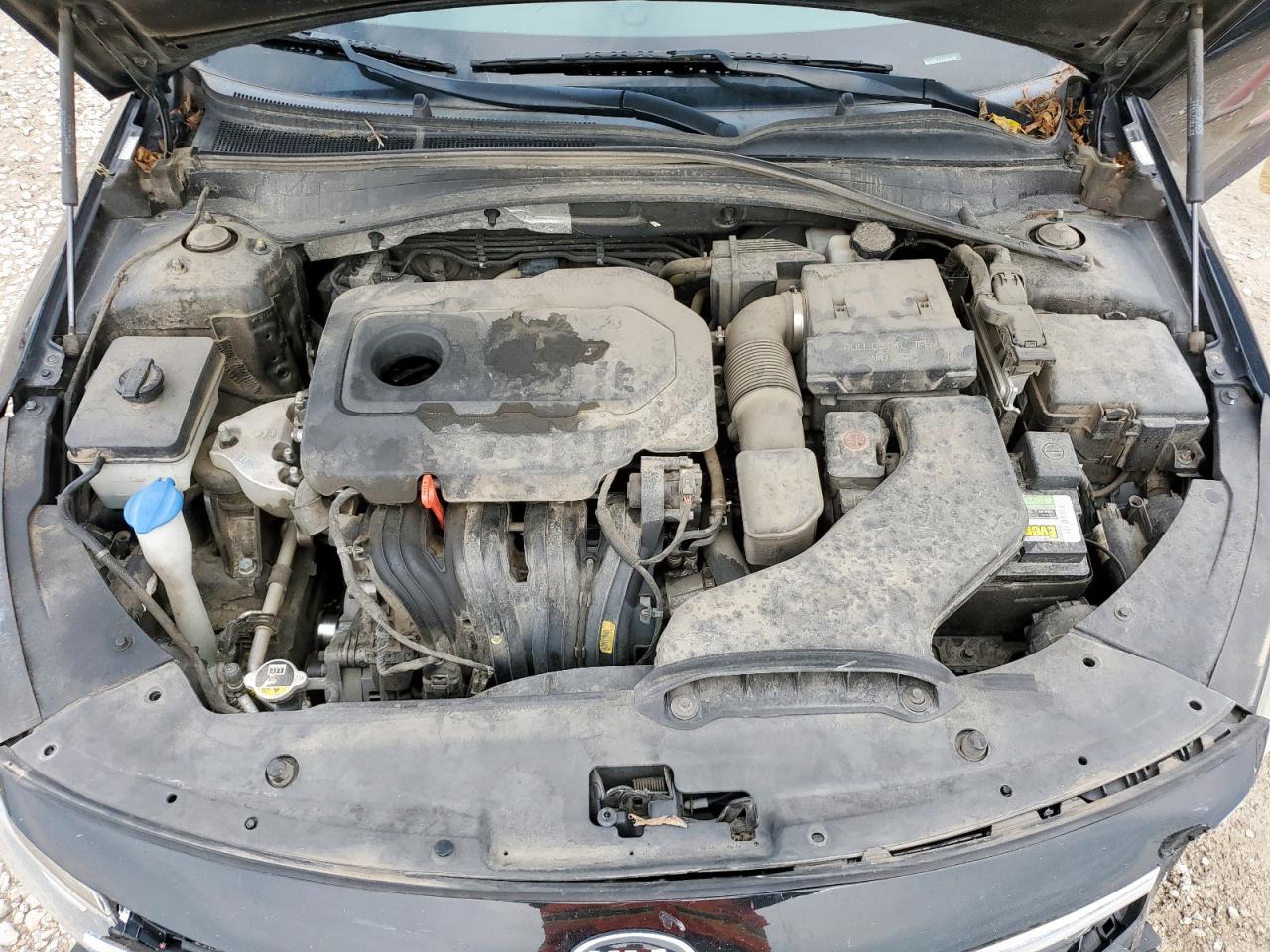 KIA OPTIMA 2019 — 12