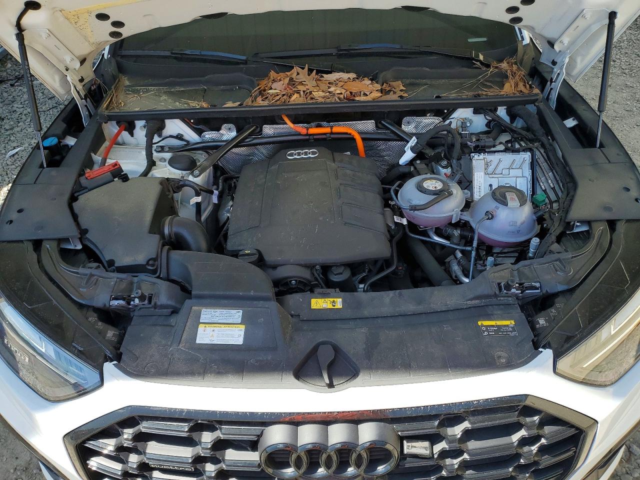 AUDI Q5 2024 — 13