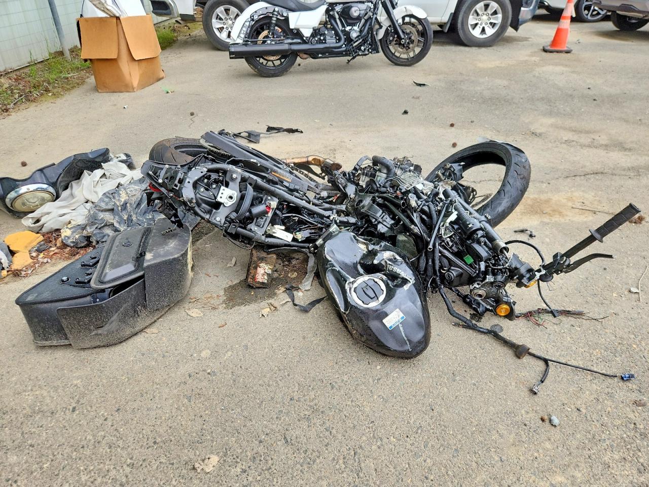 KAWASAKI ZX400 2024 — 2