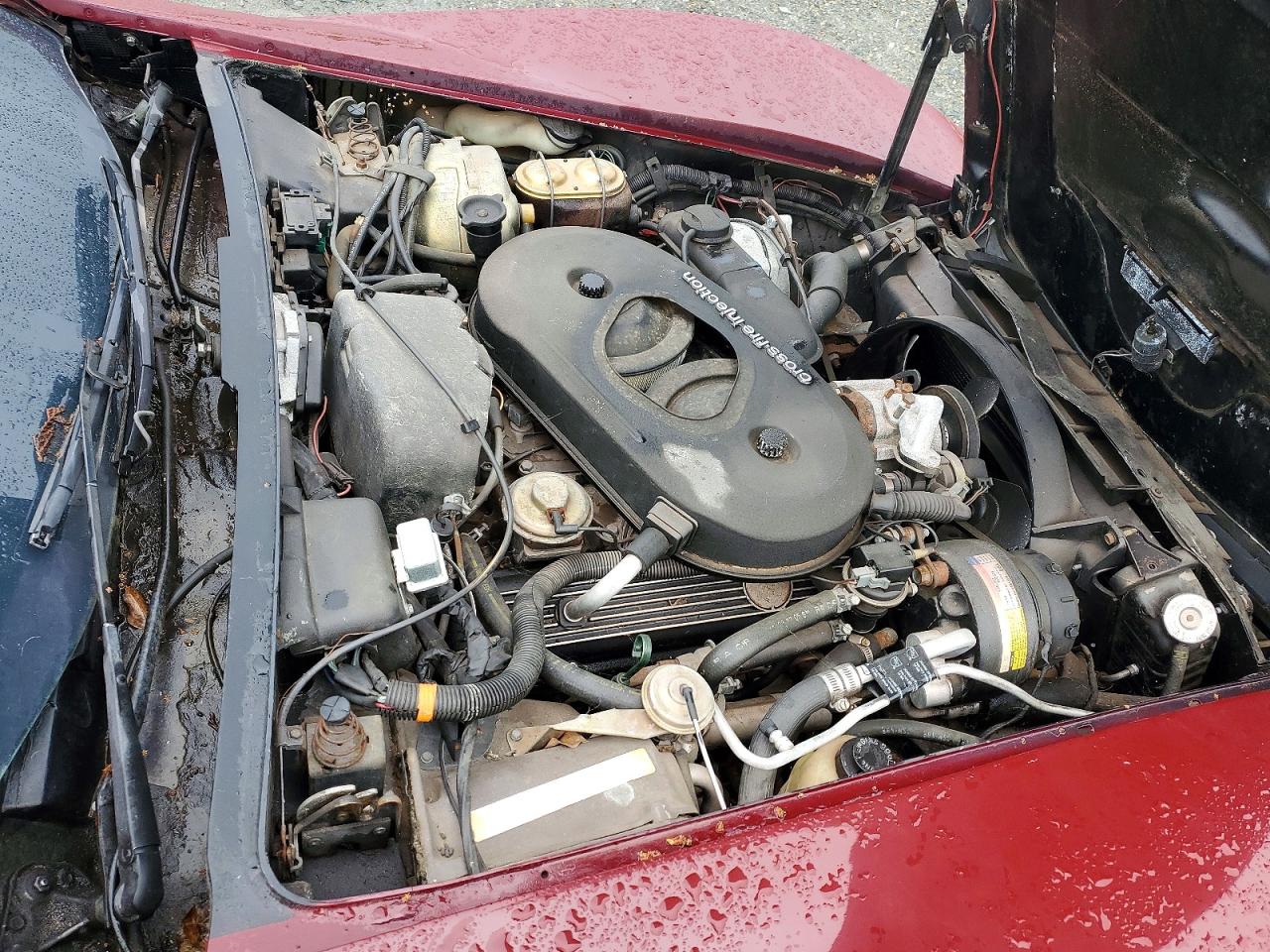 CHEVROLET CORVETTE 1982 — 12