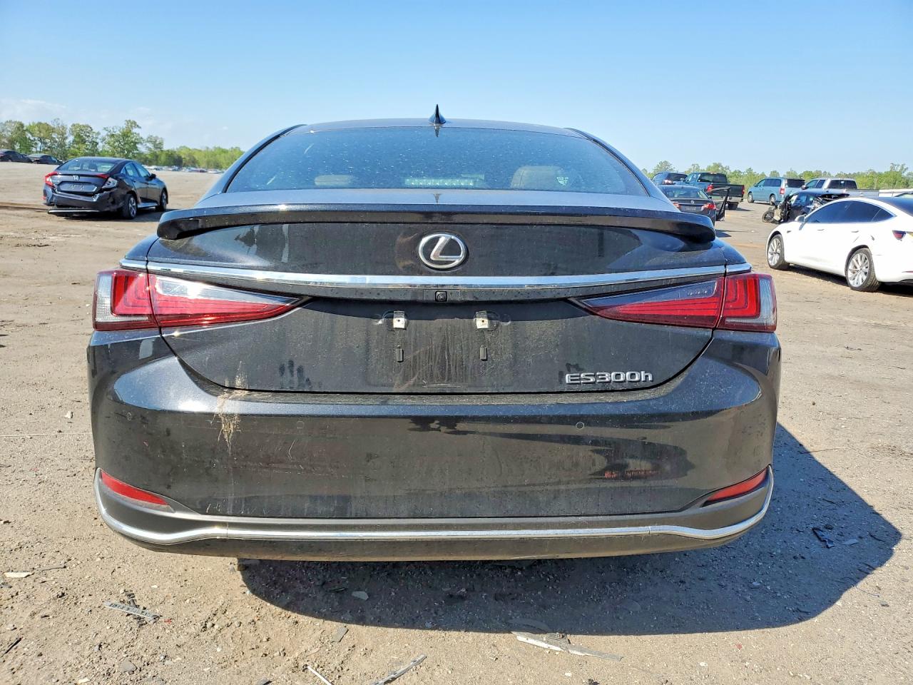 LEXUS ES 300H 2025 — 7