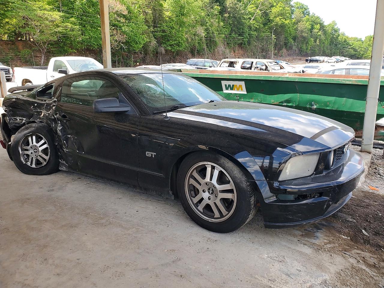 FORD MUSTANG 2006 — 5