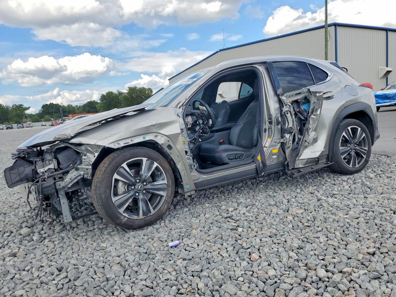 2019 LEXUS UX 250H