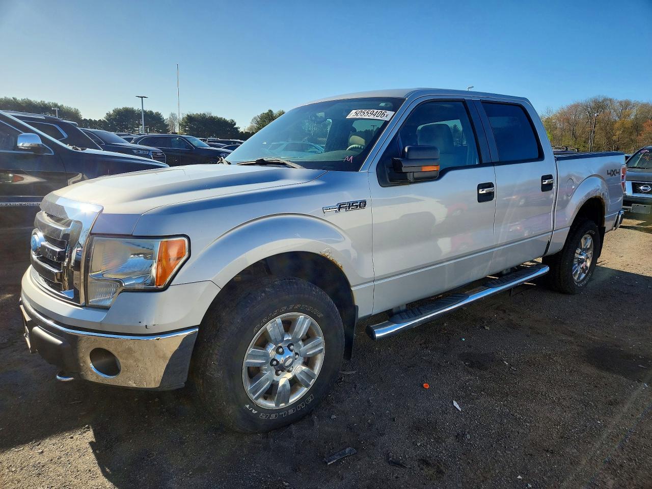 FORD F-150 2009 — 2