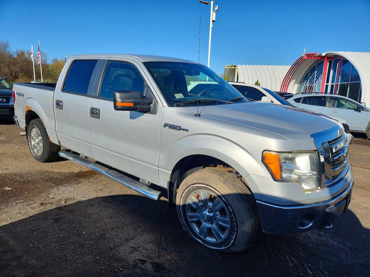 FORD F-150 2009 — 5