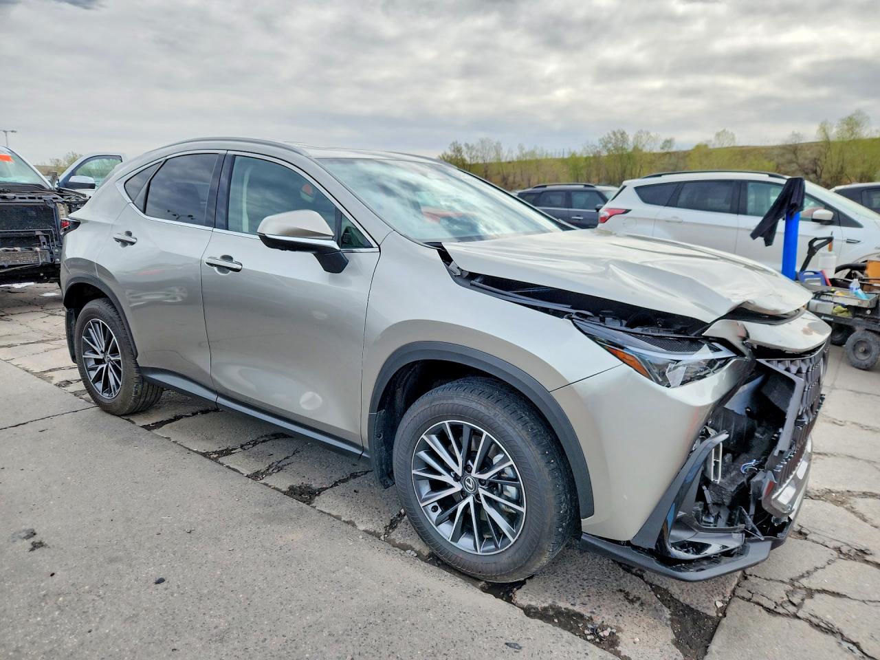2025 LEXUS NX 350H PREMIUM