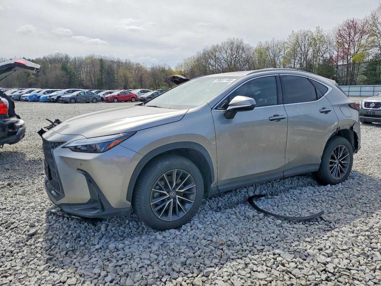2024 LEXUS NX 350 PREMIUM