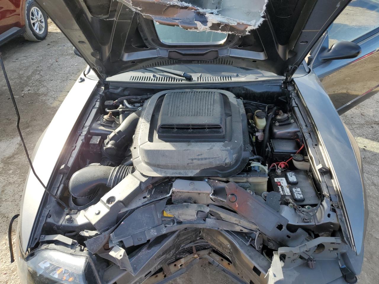 FORD MUSTANG 2003 — 12