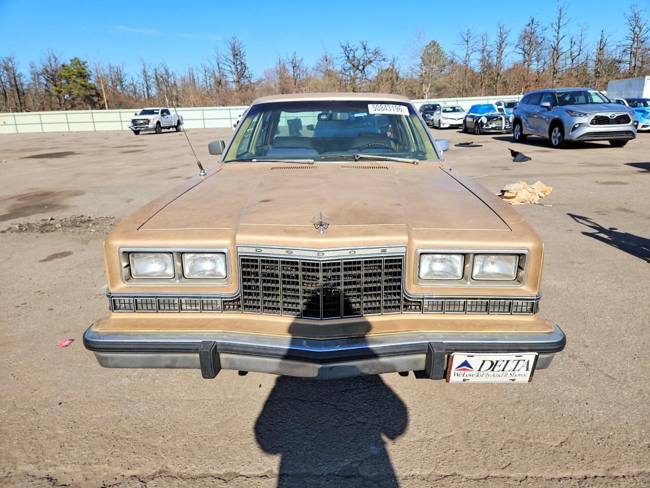 DODG DIPLOMAT 1983 — 6