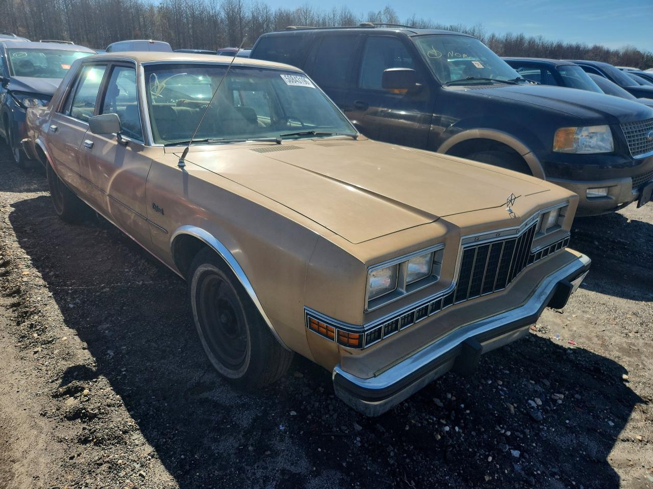 DODG DIPLOMAT 1983 — 5